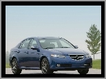 Type-s, Acura, TL